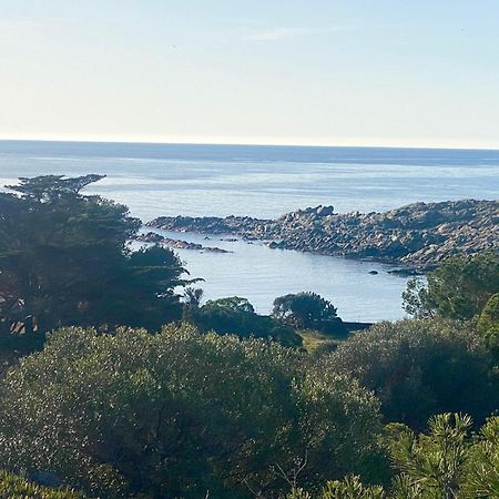 Maison De Pecheur Superbe Vue Mer, Grand Jardin 卡达克斯 外观 照片