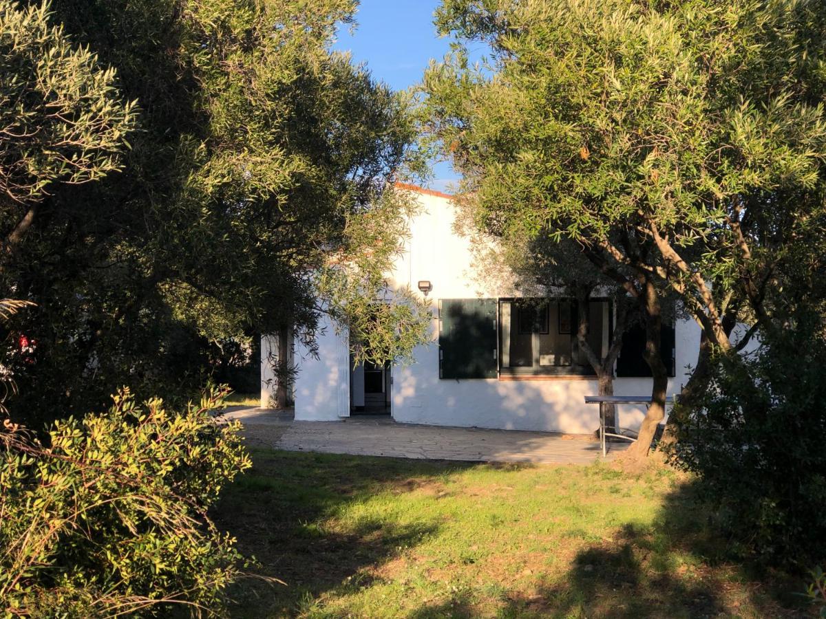 Maison De Pecheur Superbe Vue Mer, Grand Jardin 卡达克斯 外观 照片